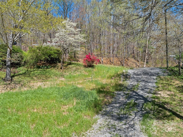 TBD Carolina Heights Tracts B, C & D, Black Mountain, NC 28711