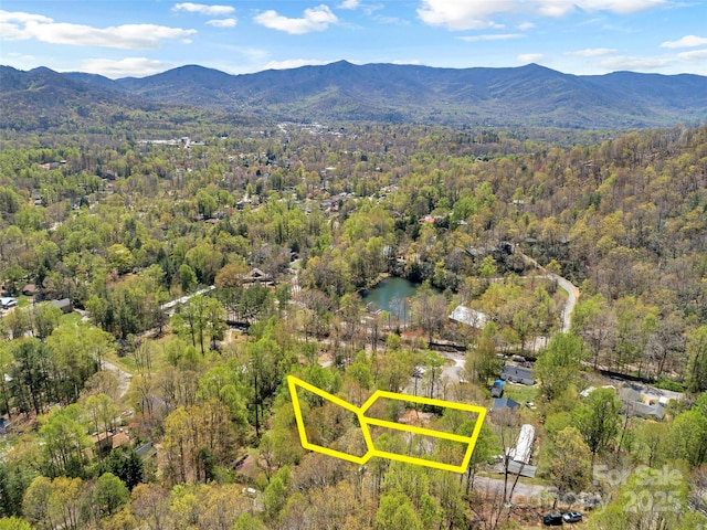 TBD Carolina Heights Tracts B, C & D, Black Mountain, NC 28711