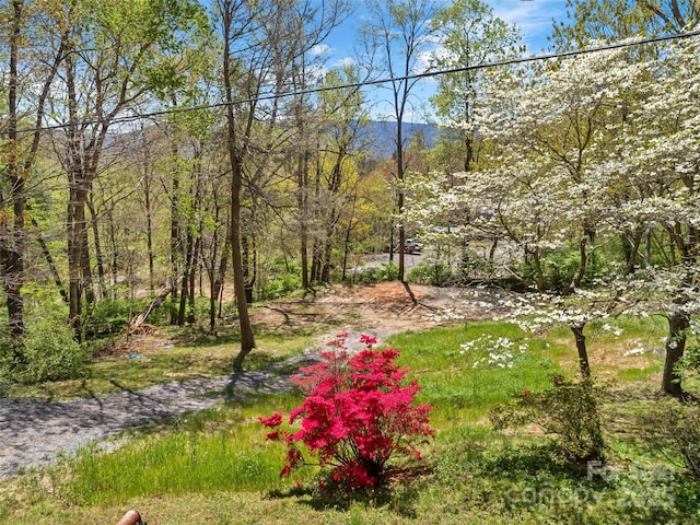 TBD Carolina Heights Tracts B, C & D, Black Mountain, NC 28711