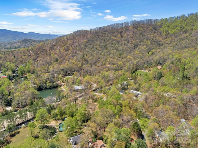 TBD Carolina Heights Tracts B, C & D, Black Mountain, NC 28711