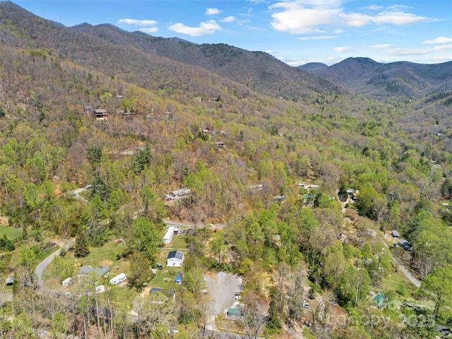 TBD Carolina Heights Tracts B, C & D, Black Mountain, NC 28711