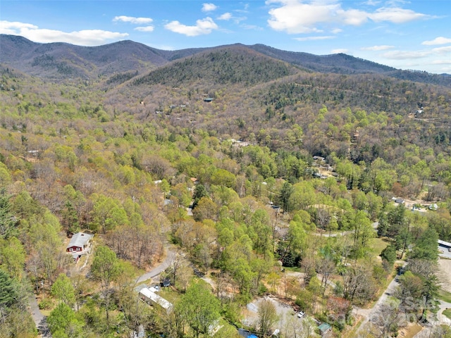 TBD Carolina Heights Tracts B, C & D, Black Mountain, NC 28711