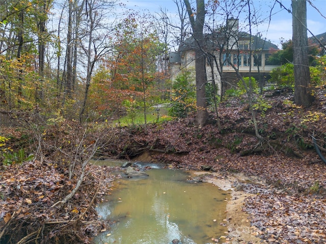 20017 Bragg, Chapel Hill, NC 27517 - water view