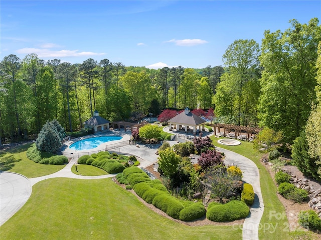 20017 Bragg, Chapel Hill, NC 27517 - drone / aerial view of a pool and a forest