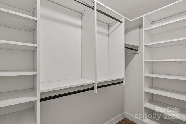 30 Joyner Ave, Asheville, NC 28806 - view of walk in closet