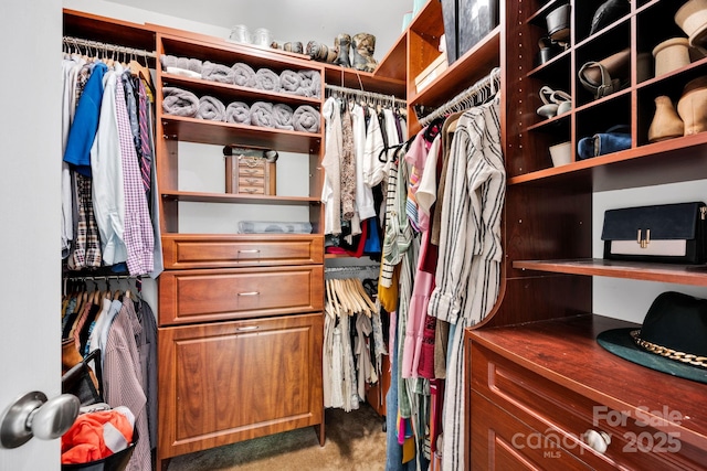 14940 Carbert Ln, Huntersville, NC 28078 - spacious closet with dark carpet