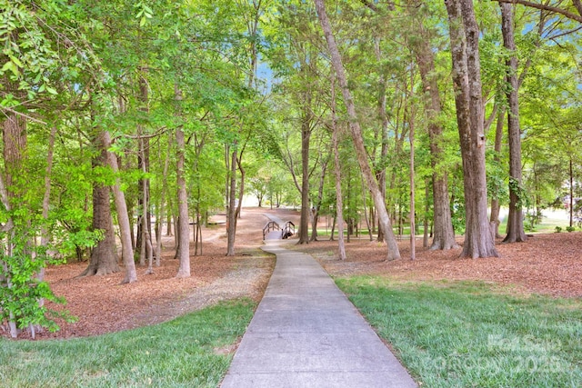 14940 Carbert Ln, Huntersville, NC 28078 - view of property's community