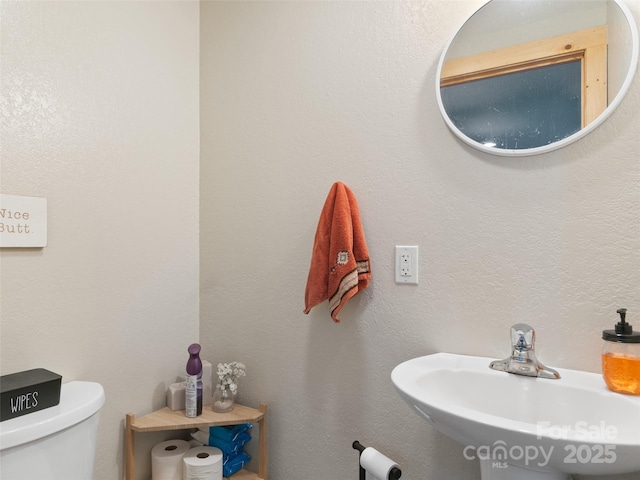 416 Secluded Cv, Waynesville, NC 28785 - bathroom featuring a sink and toilet
