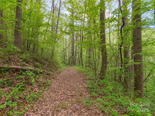 416 Secluded Cv, Waynesville, NC 28785 - view of woods