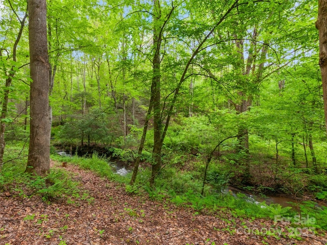 416 Secluded Cv, Waynesville, NC 28785 - view of woods