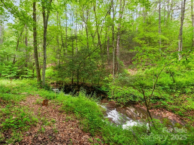 416 Secluded Cv, Waynesville, NC 28785 - view of woods