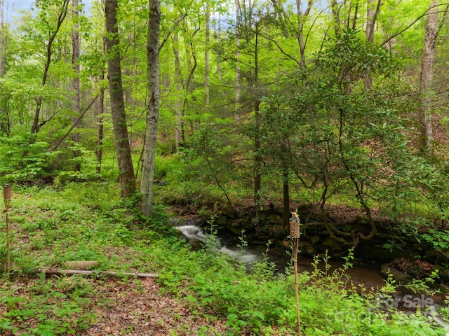 416 Secluded Cv, Waynesville, NC 28785 - view of tree filled area