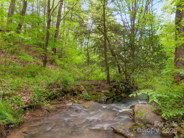 416 Secluded Cv, Waynesville, NC 28785 - view of local wilderness