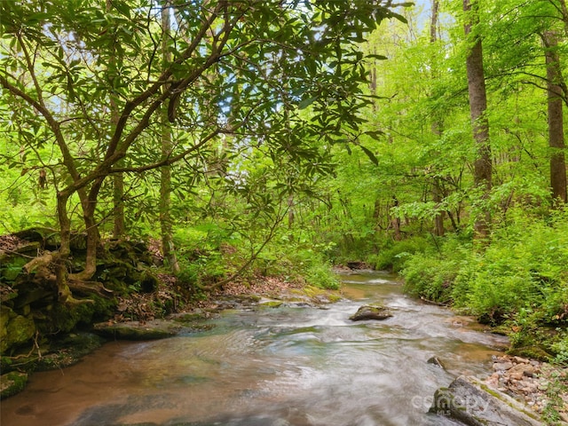 416 Secluded Cv, Waynesville, NC 28785 - view of woods