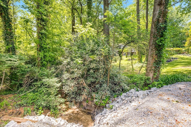 2044 Glenheath Dr, Hendersonville, NC 28791 - view of local wilderness