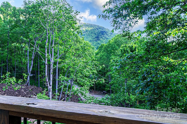 58 Great Aspen Way, Black Mountain, NC 28711 - view of mountain background