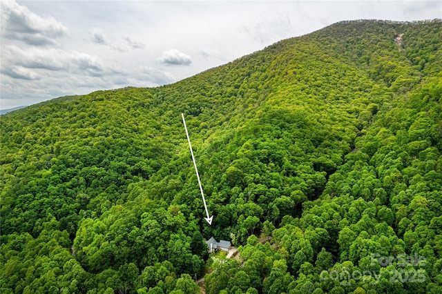 58 Great Aspen Way, Black Mountain, NC 28711 - view of mountain background with a heavily wooded area