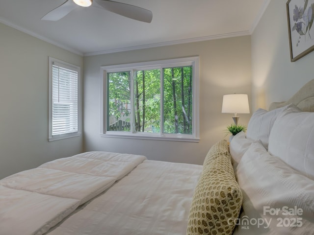 1069 Sedgefield Rd, Charlotte, NC 28209 - bedroom with crown molding and ceiling fan