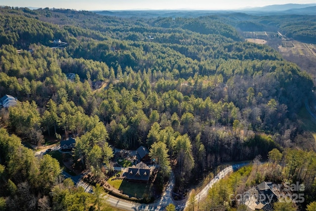 1989 Johns Ridge Parkway, Lenoir, NC 28645 - photo 17