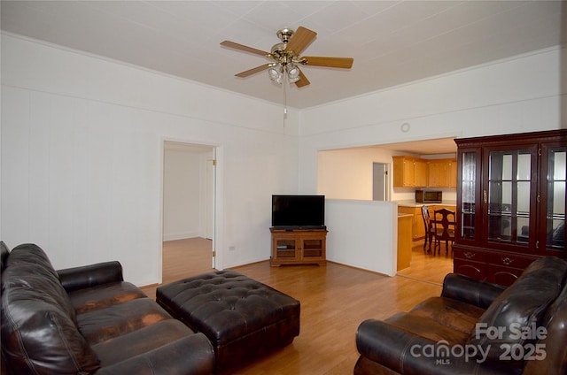 60 3rd St, Marion, NC 28752 - living area with light wood finished floors and a ceiling fan