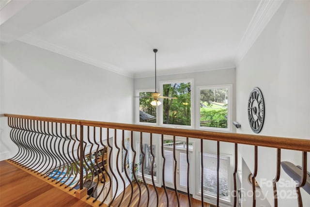 3932 Rounding Run Rd, Charlotte, NC 28277 - hallway featuring ornamental molding and wood finished floors
