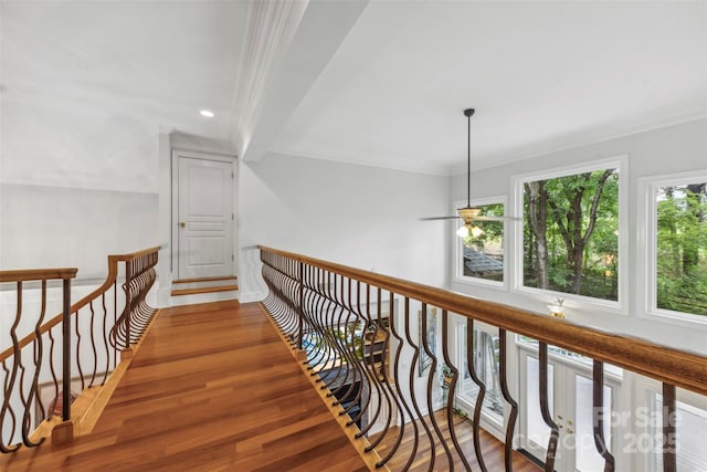 3932 Rounding Run Rd, Charlotte, NC 28277 - hallway with wood finished floors, crown molding, and recessed lighting