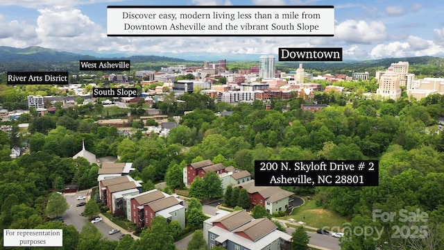 200 N Skyloft Dr Unit 2, Asheville, NC 28801 - view of urban area