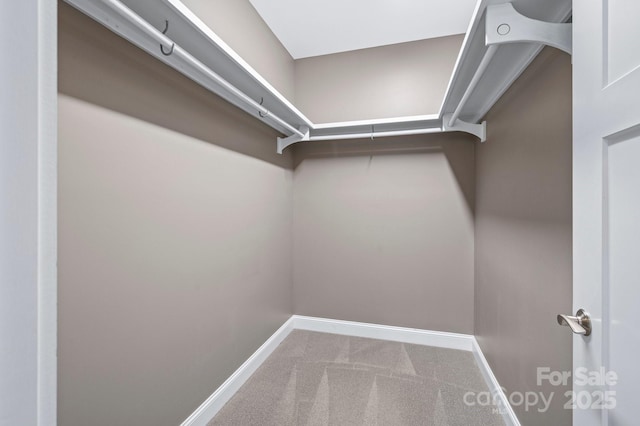 200 N Skyloft Dr Unit 2, Asheville, NC 28801 - walk in closet featuring carpet flooring