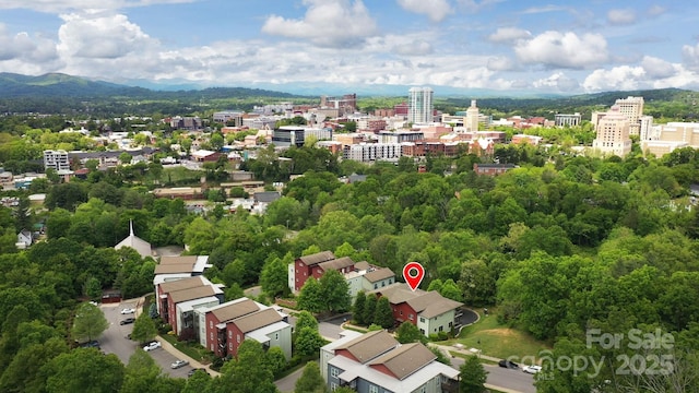 200 N Skyloft Dr Unit 2, Asheville, NC 28801 - view of urban area with mountains