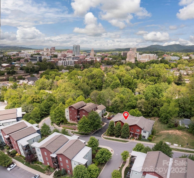 200 N Skyloft Dr Unit 2, Asheville, NC 28801 - view of urban area with mountains