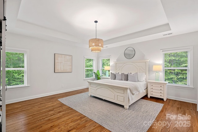 bedroom featuring a raised ceiling, wood finished floors, and multiple windows