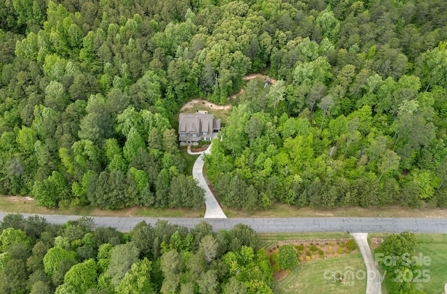 aerial view of a forest