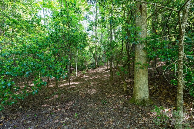 76 Drovers Ln, Fairview, NC 28730 - photo 3