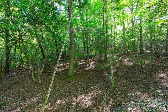 76 Drovers Ln, Fairview, NC 28730 - photo 4