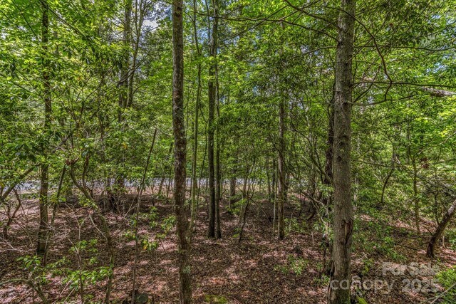 76 Drovers Ln, Fairview, NC 28730 - photo 5