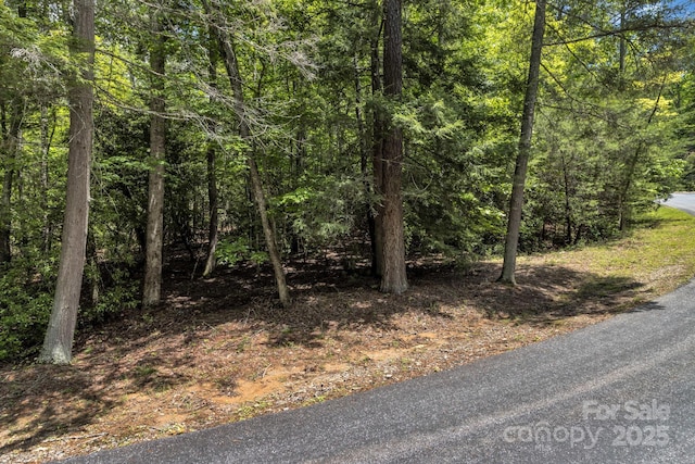 76 Drovers Ln, Fairview, NC 28730 - photo 6