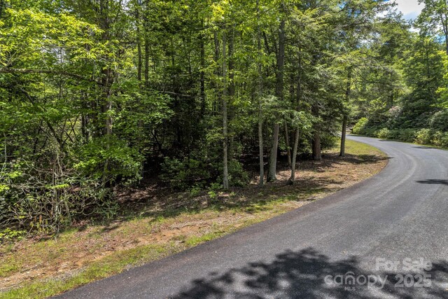 76 Drovers Ln, Fairview, NC 28730 - photo 7