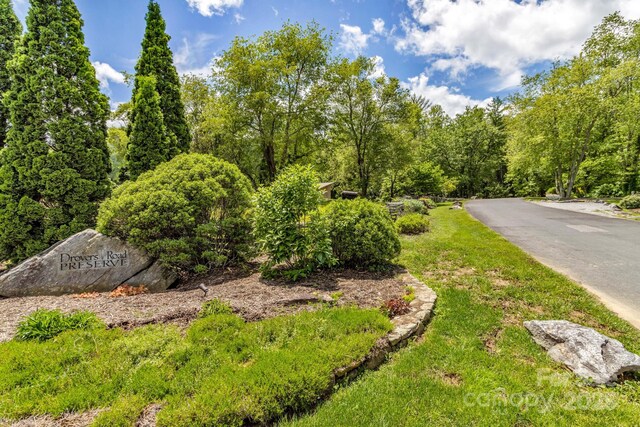 76 Drovers Ln, Fairview, NC 28730 - photo 9