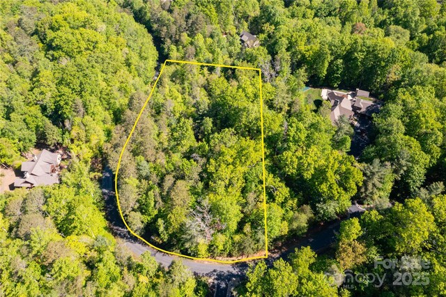 76 Drovers Ln, Fairview, NC 28730 - photo 16
