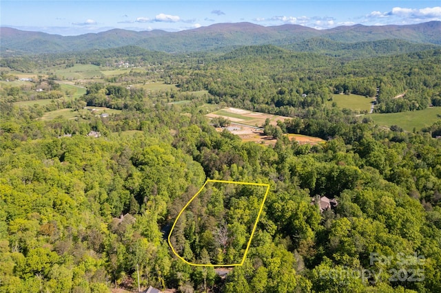 76 Drovers Ln, Fairview, NC 28730 - photo 17