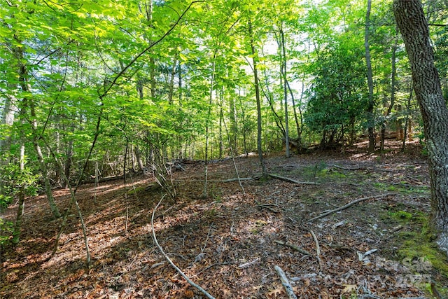 76 Drovers Ln, Fairview, NC 28730 - photo 1