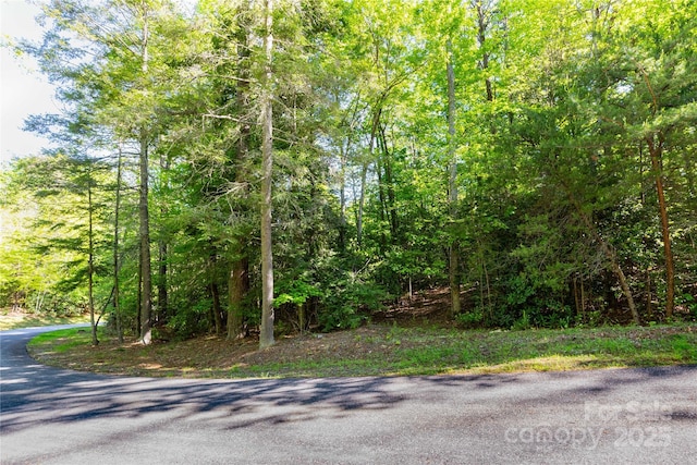 76 Drovers Ln, Fairview, NC 28730 - photo 2