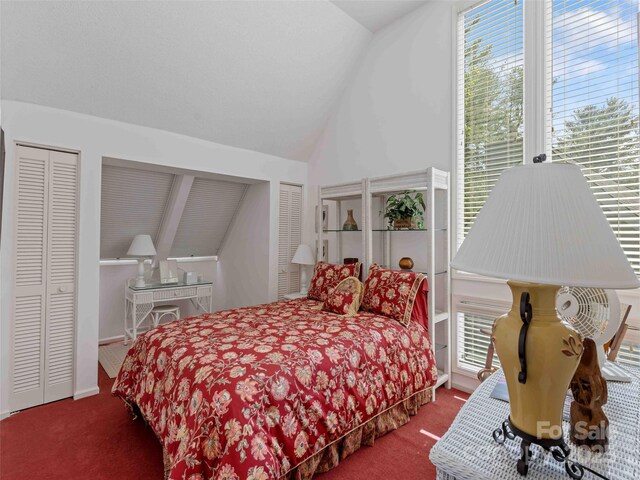 bedroom with vaulted ceiling, carpet floors, and two closets