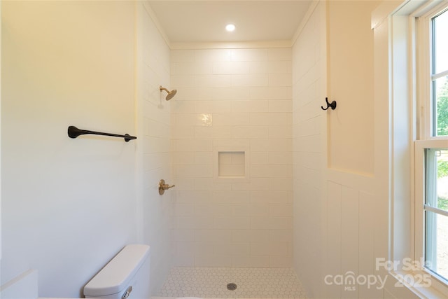 7426 Hambright Rd, Huntersville, NC 28078 - bathroom with toilet, tiled shower, and plenty of natural light