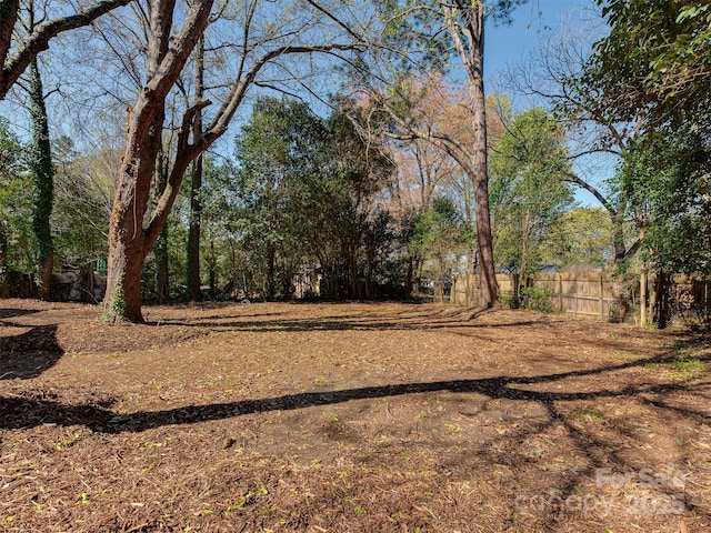 1147 Norland Rd, Charlotte, NC 28205 - photo 24