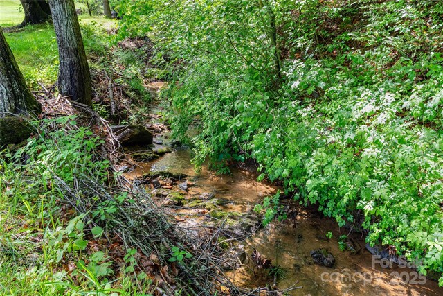283 Grandview Dr Unit 1, Marshall, NC 28753 - view of nature