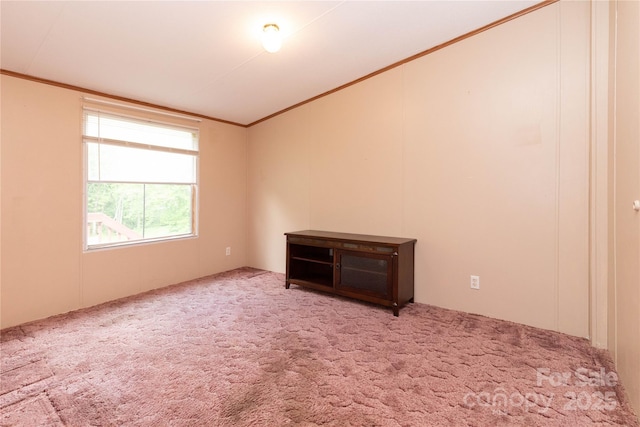 283 Grandview Dr Unit 1, Marshall, NC 28753 - spare room with ornamental molding, carpet flooring, and lofted ceiling