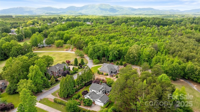216 Saint Andrews Blvd, Campobello, SC 29322 - bird's eye view of a forest and a mountainous background
