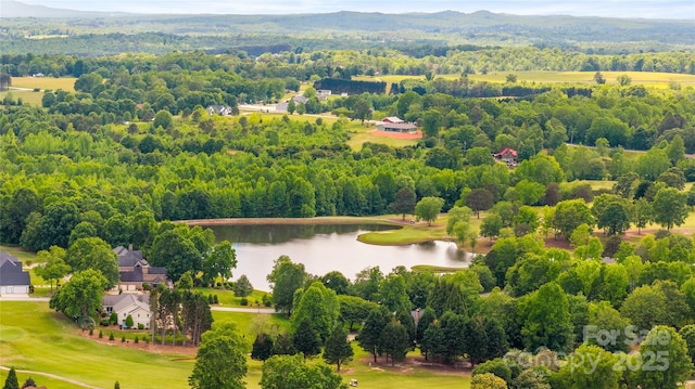 216 Saint Andrews Blvd, Campobello, SC 29322 - bird's eye view of a large body of water and a heavily wooded area