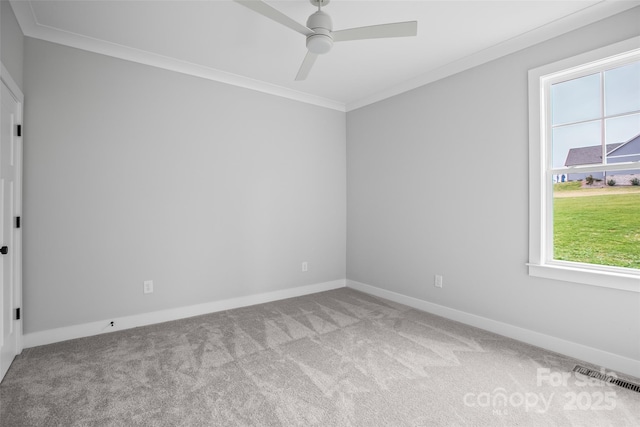 149 Beauchamp Oaks Ct, Advance, NC 27006 - carpeted spare room with ornamental molding, plenty of natural light, ceiling fan, and baseboards